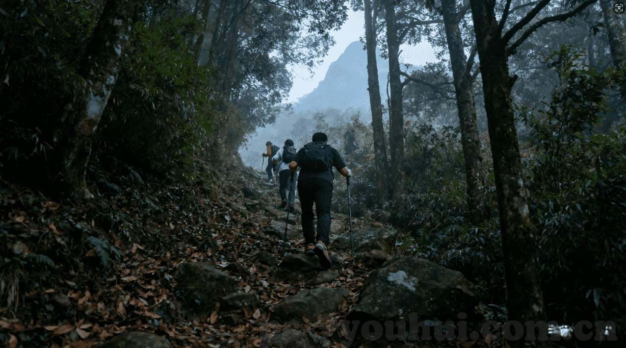 在澳门赌场各种赌法-澳门赌场，赌法多样，风险与机遇并存